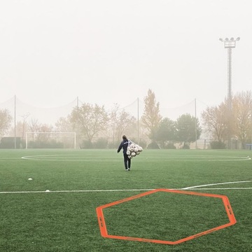 Многофункциональная тренировочная лестница Agility Rings