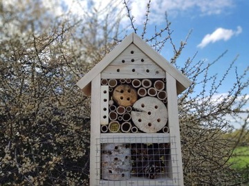 BUDKA LĘGOWA HOTEL DLA OWADÓW MOTYLI NATURAL XXL J