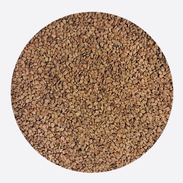 Kozieradka (Trigonella) ziarno całe 1000 g