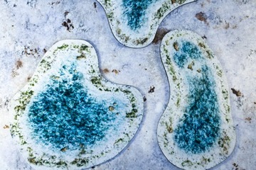 2D УНИВЕРСАЛЬНЫЕ ПЛОЩАДКИ - ЗИМНИЙ ПРУД