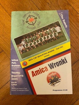 PROGRAM TNS LLANSANTFFRAID-AMICA WRONKI 2002