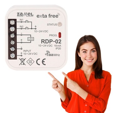 Sterownik LED jednokolorowy RDP-02 inteligentny dom