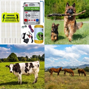 Zestaw pastuch elektryczny elektryczny na psy psa krowy bydło