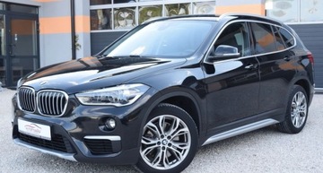 BMW X1 F48 Crossover xDrive25d 231KM 2018 BMW X1 2.0 D 231 PS xDrive Model Sport Line Ledy Edition Executive 2.0, zdjęcie 5