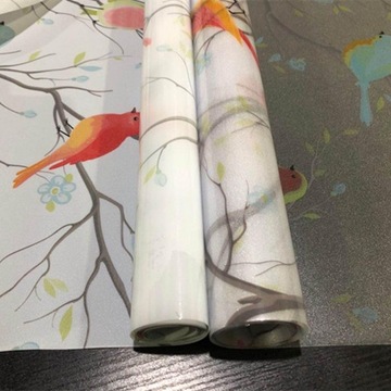 Folia Okienna Ptak Prywatność Okno Biała 35cmx100 cm