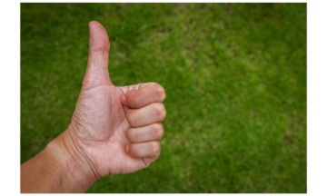 GRASS SEEDS Спортивная площадка Премиум Стадион Устойчивость к вытаптыванию 1кг