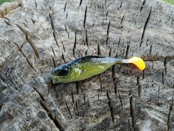 SEWRO CUSTOM JAZGARZ 5,5cm