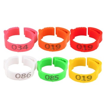 100 шт. кольца для лапок птицы, курицы, голубя, зеленого цвета