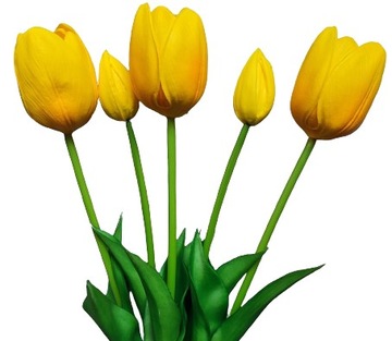 TULIPAN żółty gumowany 5 szt. BUKIET żółtych tulipanów 42 cm silikon duże