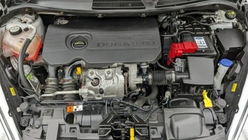 Ford Fiesta VII Hatchback 3d Facelifting 1.5 TDCi 75KM 2015 Ford Fiesta 1.5TDCi 75PS OPŁACONY Bezwypadkowy, zdjęcie 35