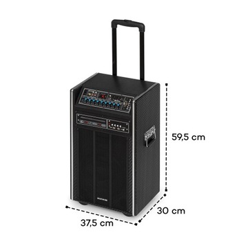 DVD-аудиосистема Auna Pro DisGo Box, 300 Вт