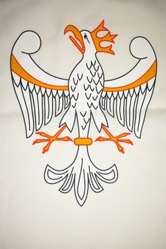 Комплект SWORD SHIELD TUNIC большой ПОЛЬСКИЙ рыцарь