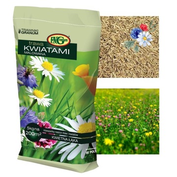 Nasiona Trawy Trawa Z Kwiatami Łąka Kwietna Łączka Mix Trawnik Kwiatów 5 kg