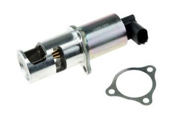 ZAWÓR EGR MASTER II MEGANE SCENIC TRAFIC 1.9dCi