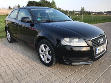 Audi A3 8P Hatchback 3d 1.6 102KM 2009 Audi A3 1.6 MPI 102 KM