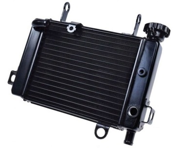 CHŁODNICA CIECZY WODY HONDA CBR 125 R 04-10