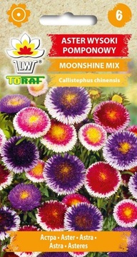 ASTER WYSOKI POMPONOWY MOONSHINE MIX 0,5g TORAF