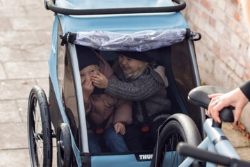 Thule Courier Blue 10102001 Велосипедный прицеп для багажа Детская коляска для собак 1–2 лет