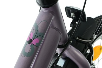 Детский велосипед Kands 20 Doris r12
