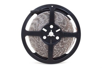 ABILITE Taśma LED NIEBIESKA 300LED 12V IP65 5M/8MM