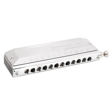 Хроматическая гармошка Металл 12 отверстий 4