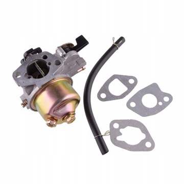 Комплект карбюратора для Royal Einhell BG-PM 46 S GH-PM