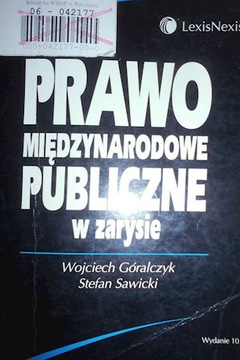 Prawo międzynarodowe publiczne w zarysie - Sawicki