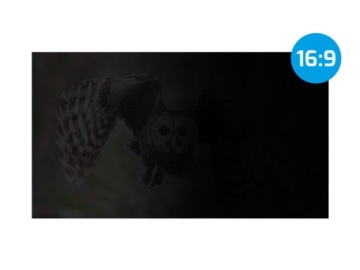 NATEC Owl 27-дюймовый фильтр конфиденциальности 16:9 Защита конфиденциальности GDPR