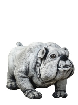 Figura betonowa ogrodowa pies buldog