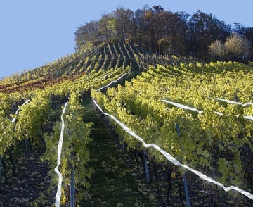 Голографическая лента отпугивающая птиц 45 м