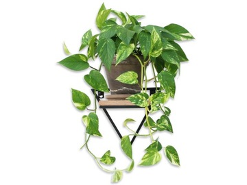 Подвесная металлическая подставка для цветов на стену Unique LOFT