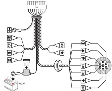HAK HOLOWNICZY CITROEN BERLINGO PEUGEOT PARTNER L2 2008-2018 MODUŁ 7 PIN