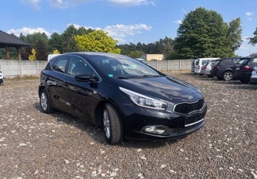 Kia Ceed II pro_cee´d 1.6 GDI 135KM 2014 Kia Ceed 1.6B 135KM klimatronik stan bdb LEDY 1.6 Benzyna 135KM, zdjęcie 10