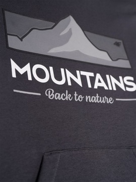 Толстовка для толстовки 4F.