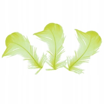 ХУДОЖЕСТВЕННЫЕ ИЗДЕЛИЯ ДЕКОРАТИВНЫЕ ПЕРЬЯ КАЛАДА