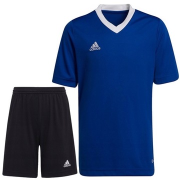 ADIDAS KOMPLET SPORTOWY KOSZULKA SPODENKI roz. XXL