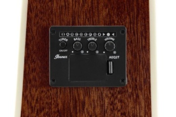 IBANEZ PF16WCE-NT ЭЛЕКТРОАКУСТИЧЕСКАЯ ГИТАРА