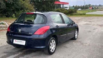 Peugeot 308 I Hatchback 5d 1.6 HDi FAP 92KM 2010 Peugeot 308 Raty 1.6 hdi 92KM Niski przebieg Zarejestrowany Klimatyzacja G, zdjęcie 11