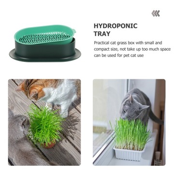 Кошачий туалет с гидропонными растениями