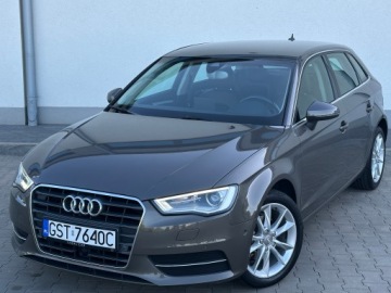 Audi A3 8V Hatchback 3d 1.6 TDI 105KM 2014 AUDI A3 8V SPORTBACK*1.6 TDI*S TRONIC*KAMERA*BIXENON* LED*RADAR ACC*KOLOR!, zdjęcie 2