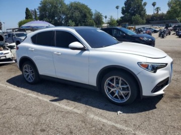 Alfa Romeo Stelvio SUV 2.0 Turbo 280KM 2019 Alfa Romeo Stelvio 2019 ALFA ROMEO STELVIO 2.0 Benzyna 280KM, zdjęcie 5