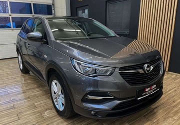 Opel 2019 Opel Grandland X 130 KM manual BEZWYPADKOWY gwarancja ZAREJESTROWANY, zdjęcie 3