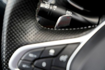 Renault Arkana SUV 1.3 TCe 140KM 2023 Renault Arkana LEDY parktronik SKÓRA nawi ACC, zdjęcie 29