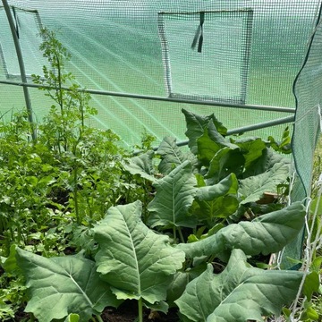 БОЛЬШАЯ ПАЛАТКА ДЛЯ САДОВОЙ ТЕПЛИЦЫ, ТУННЕЛЬ ИЗ ФОЛЬГИ UV-4 3x6x2 STRONG 18м2 + ШПИЛЬКИ