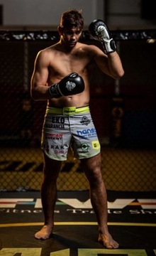 Тренировочные боксерские перчатки весом 8 унций ARB407A BUSHIDO