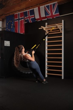 Лестница гимнастическая реабилитационная 250х80 штанга КОМБО