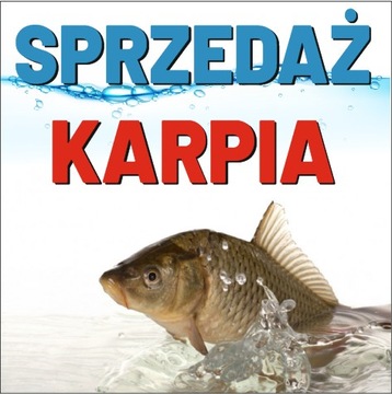 КАРП БАННЕР ПРОДАЖА КАРПА ЖИВОЙ КАРП РАЗЛИЧНЫЕ МОДЕЛИ