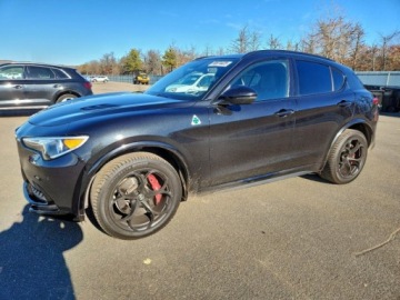 Alfa Romeo Stelvio 2019 Alfa Romeo Stelvio Alfa Romeo Stelvio Quadrifoglio AWD 2019 od ubezpieczal, zdjęcie 2