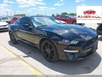Ford Mustang VI 2019 Ford Mustang 2019r, Ecoboost, 2.3L