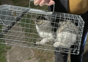 Ловушка против куниц, мышей, крыс Green Paw 2 кг